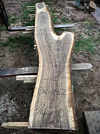 Black Walnut