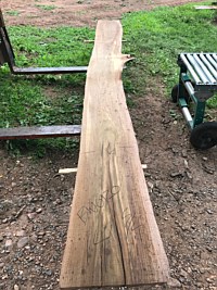 Black Walnut