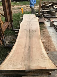 Red Oak