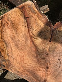 Red Oak