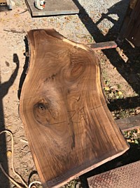 Black Walnut