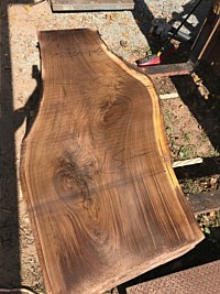 Black Walnut