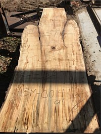 Ambrosia Maple