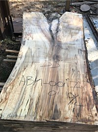 Ambrosia Maple