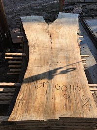 Ambrosia Maple