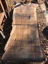 Black Walnut