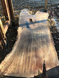 Black Walnut