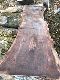 Black Walnut