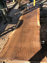 Black Walnut