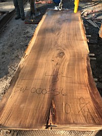 Black Walnut