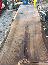 Black Walnut