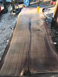 Black Walnut