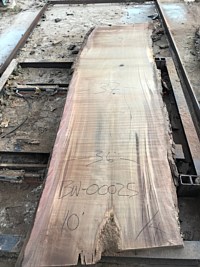 Black Walnut