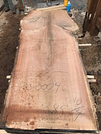 Red Oak