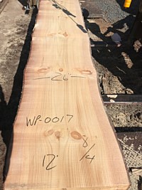 White Pine